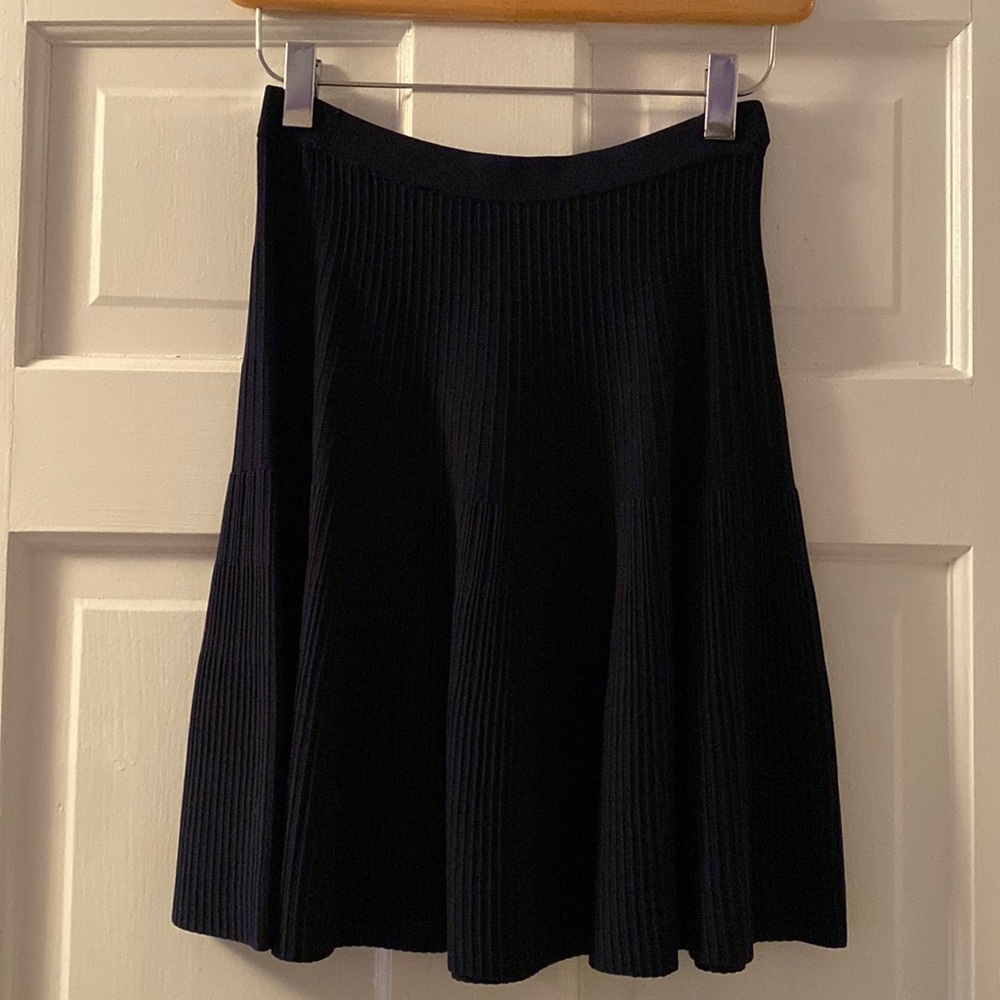 Navy Pleated Fit and Flare Skirt